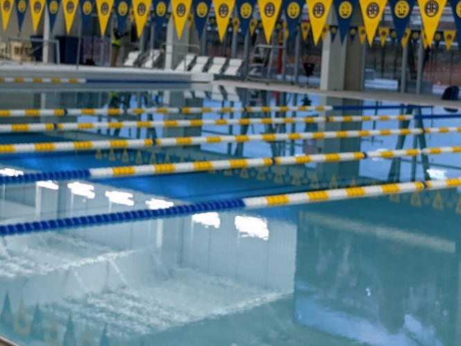 Alamo Heights Banner 2