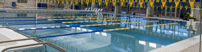 Alamo Heights Banner 2