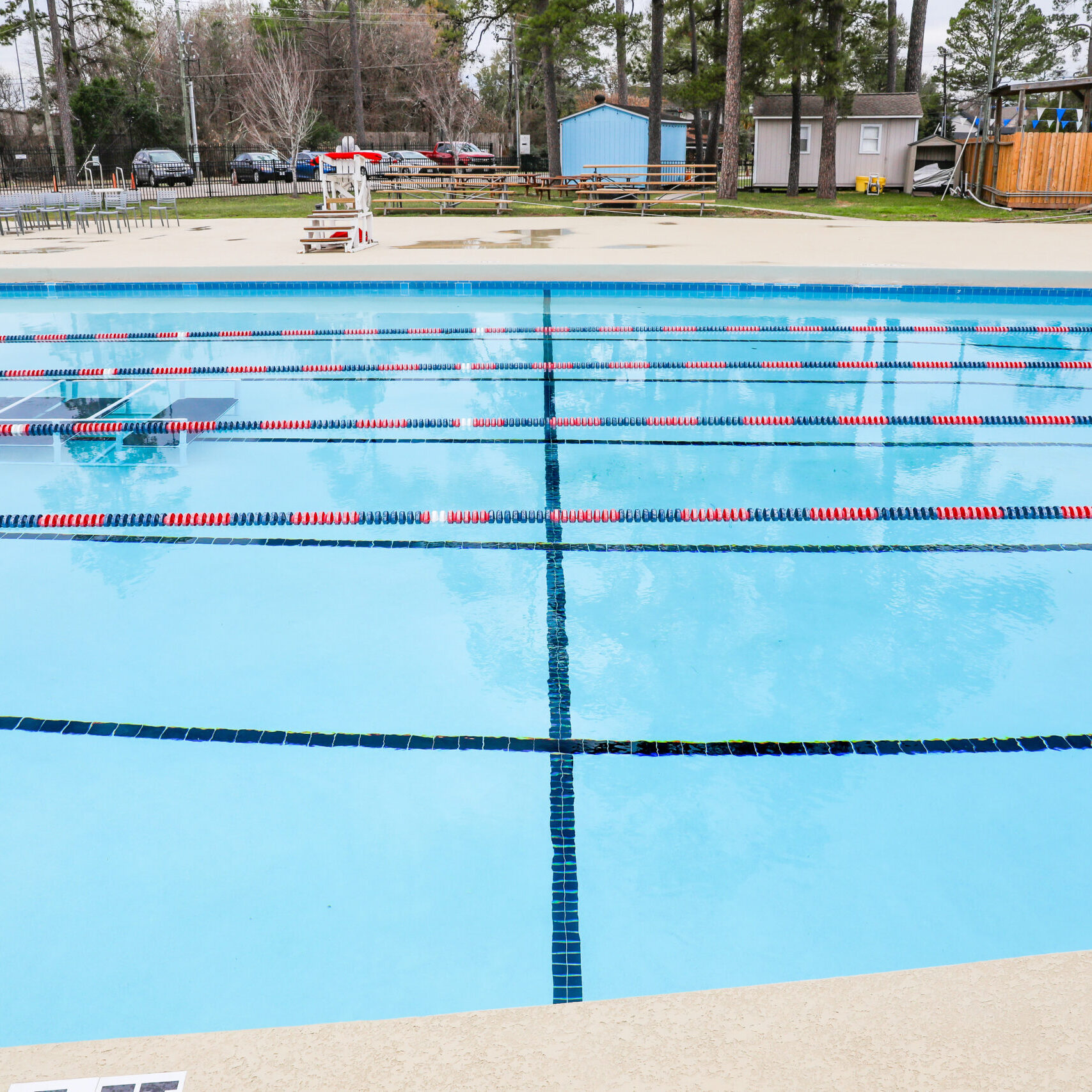 Dads Club Lap Pool Gallery 8