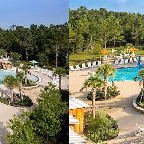 Forest Island Park Banner 1