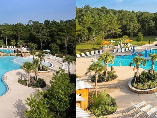 Forest Island Park Banner 1