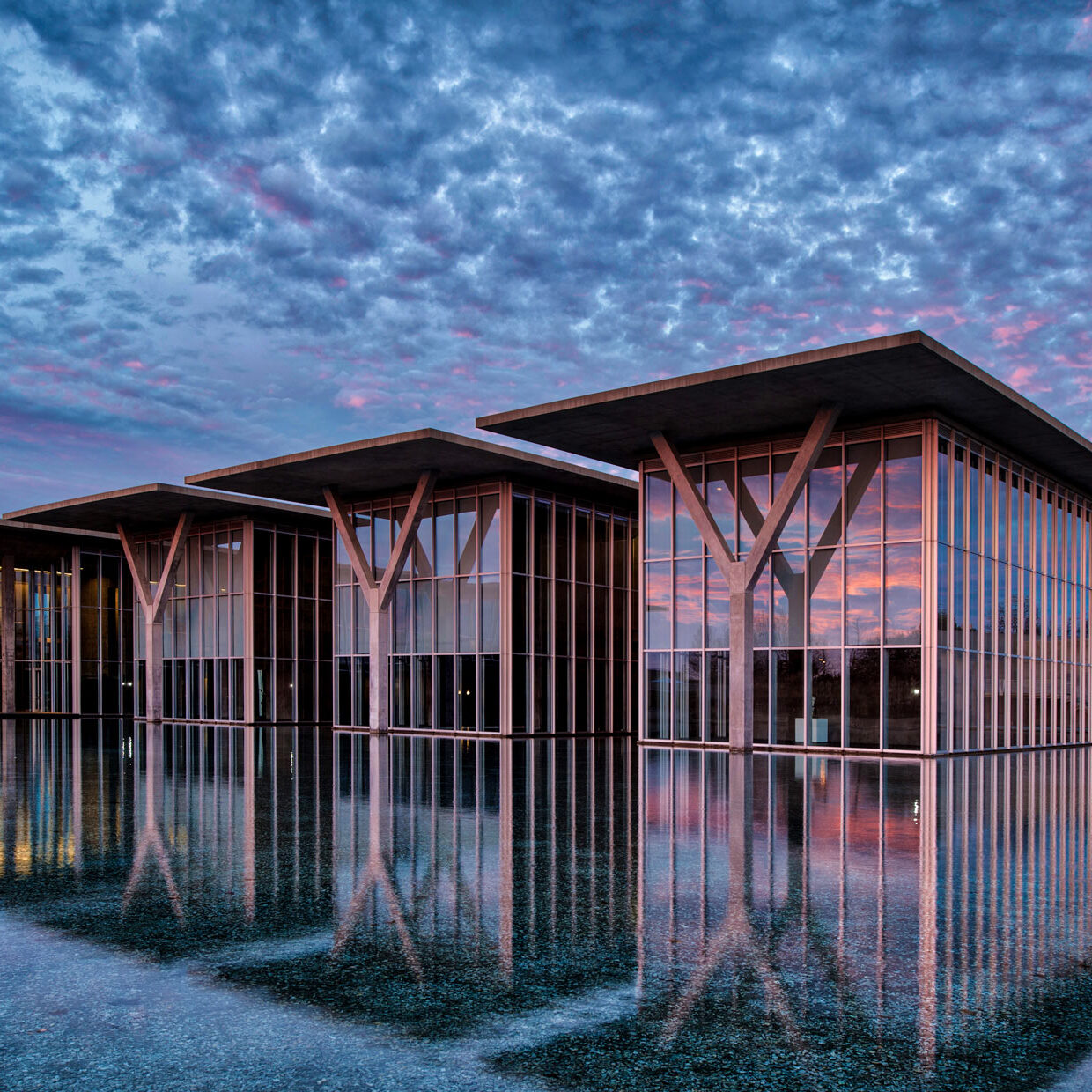 Fort Worth Modern Art Museum Gallery 9