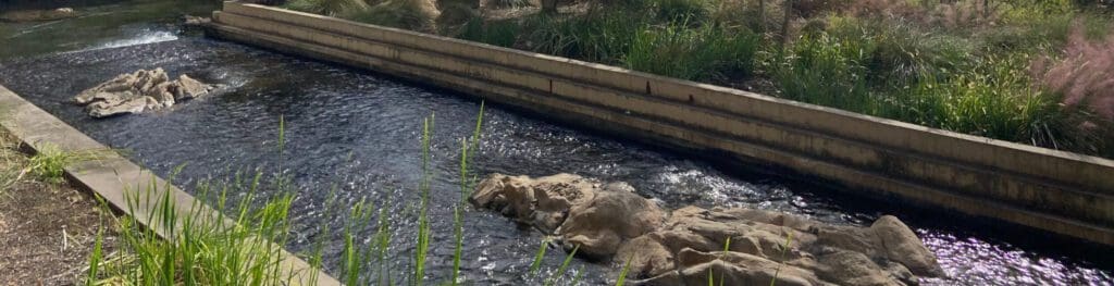 Institute Of Molecular Medicine Banner 1