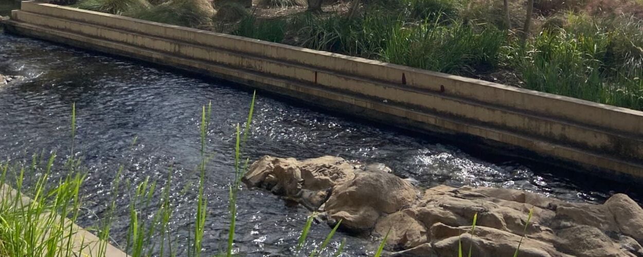 Institute Of Molecular Medicine Banner 1 Institute Of Molecular Medicine Banner 1