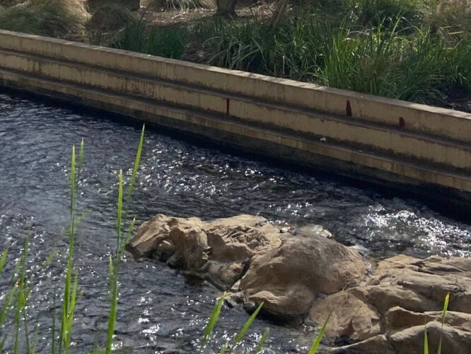 Institute Of Molecular Medicine Banner 1