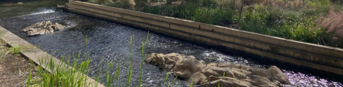 Institute Of Molecular Medicine Banner 1