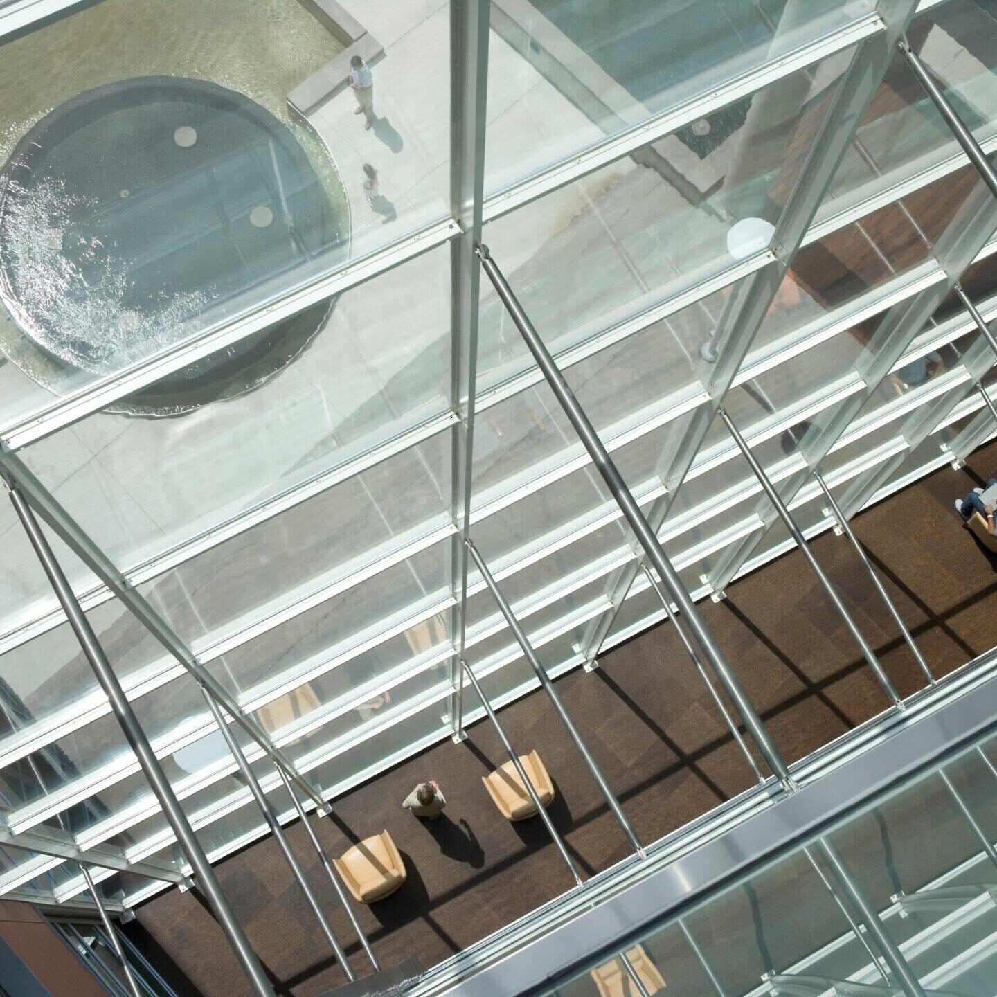 Institute Of Molecular Medicine Gallery 5