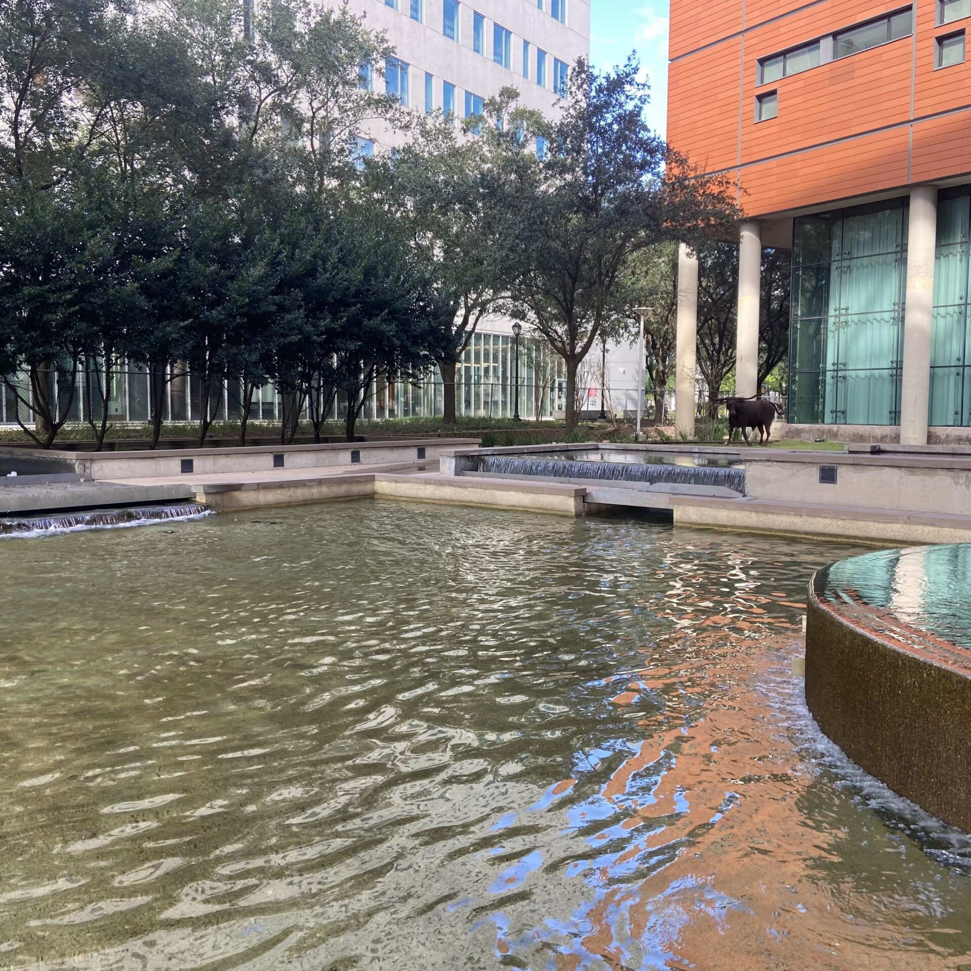 Institute Of Molecular Medicine Gallery 6