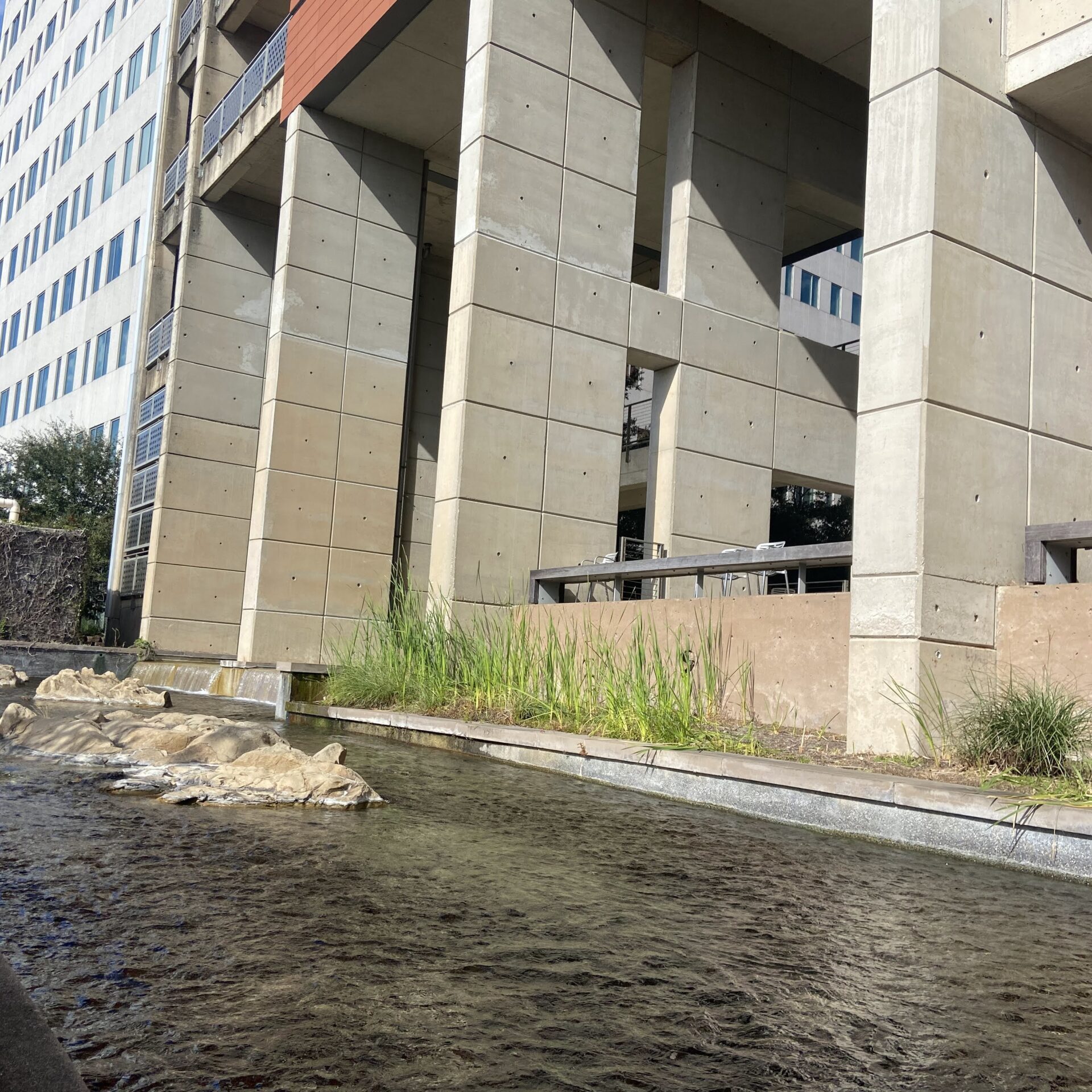 Institute Of Molecular Medicine Gallery 7