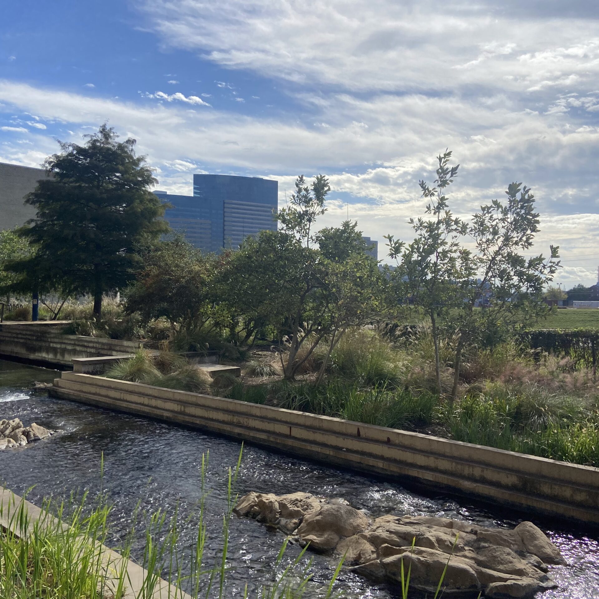 Institute Of Molecular Medicine Gallery 8