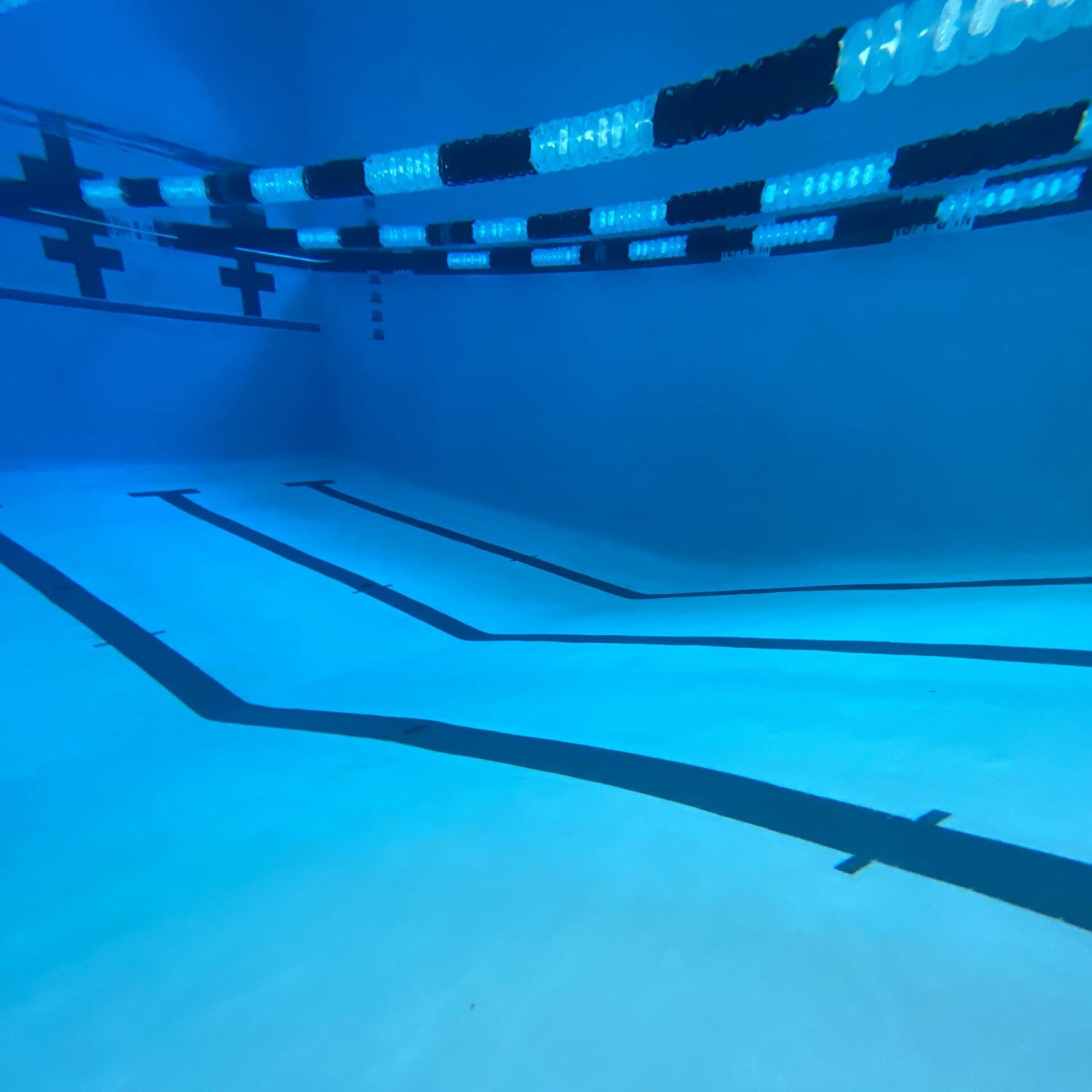 Iowa Colony High School Gallery 7