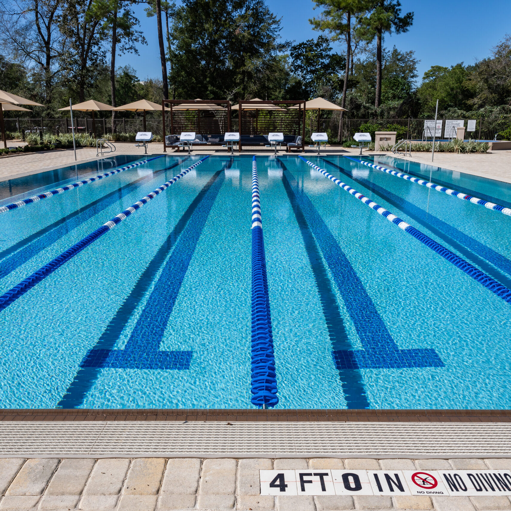 Life Time Shenandoah Gallery 21