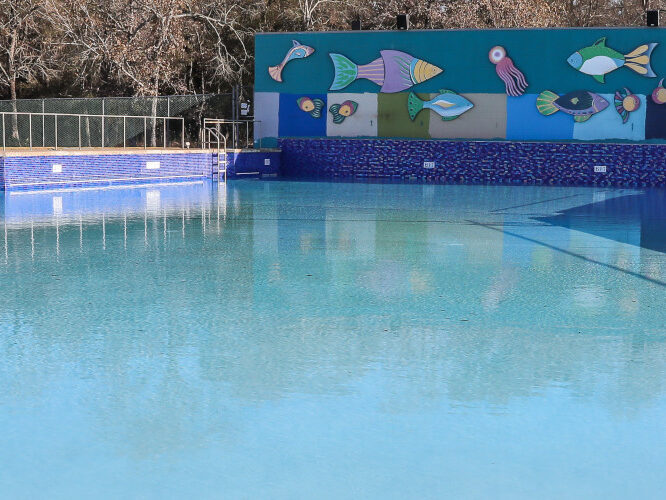 Mont Belvieu Wave Pool Banner 1