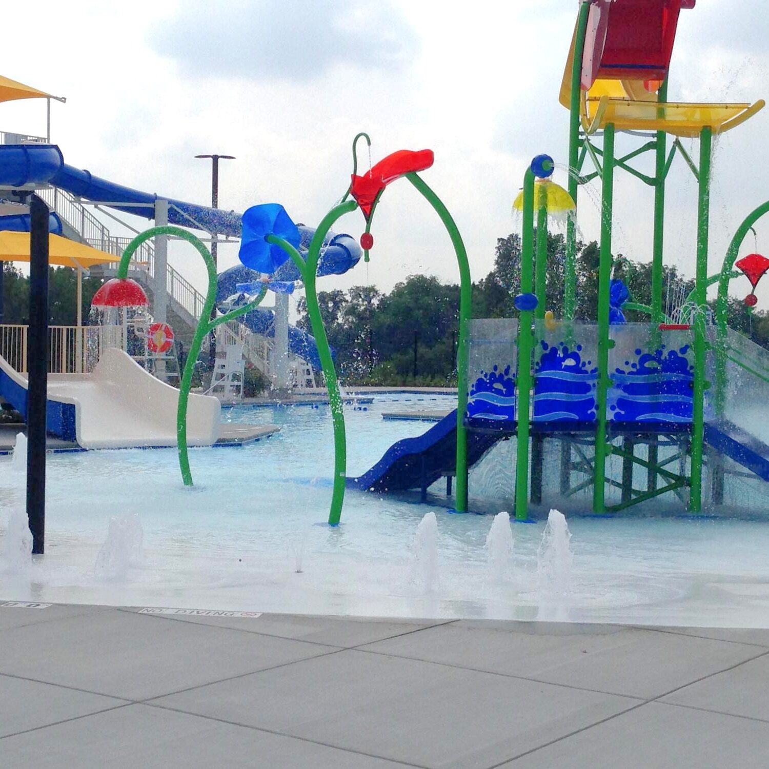 North County Rec Center Gallery 8