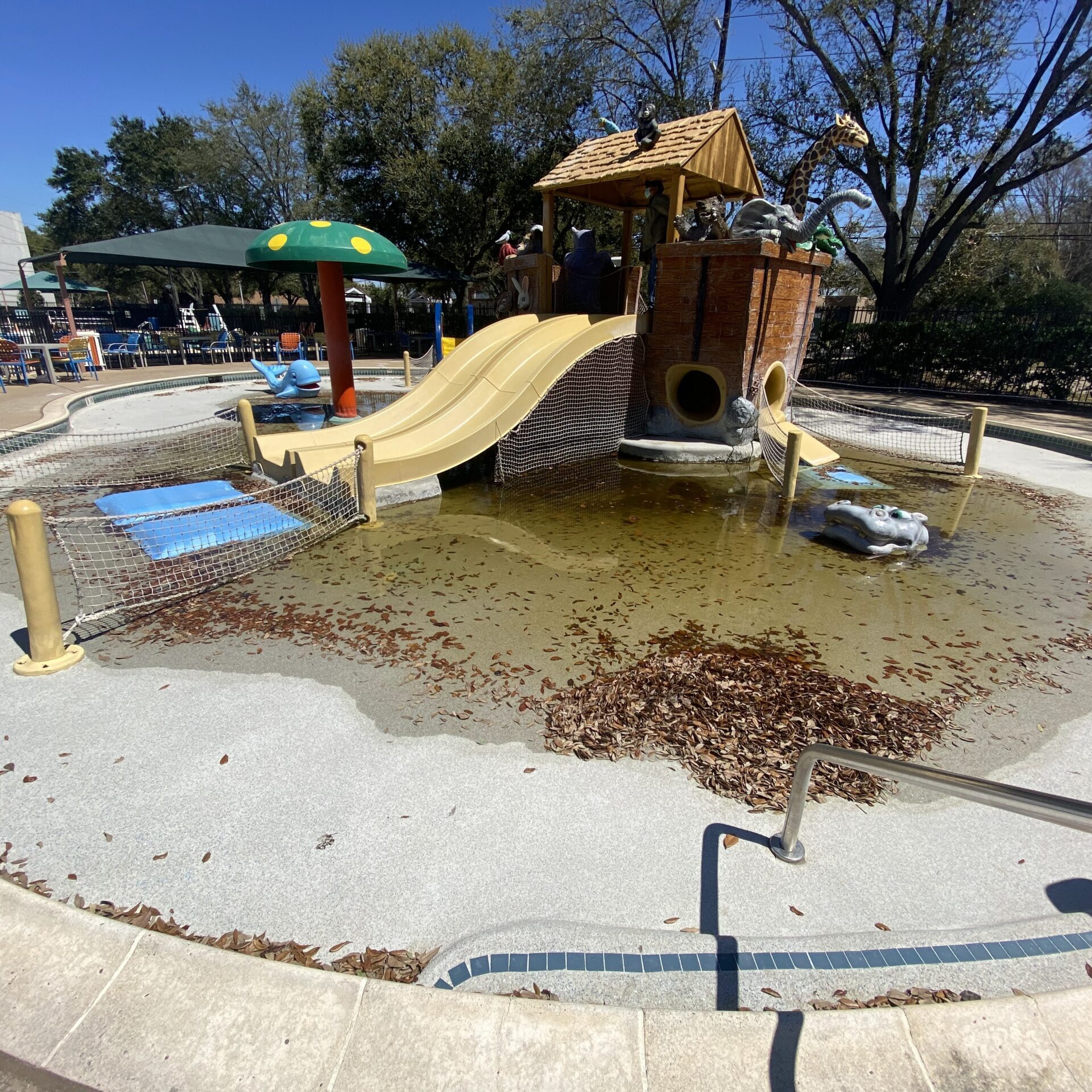 Quillian Center Noahs Ark Gallery 2