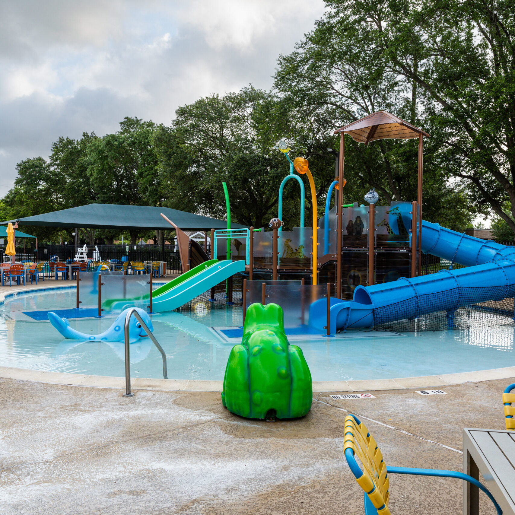 Quillian Center Noahs Ark Gallery 3