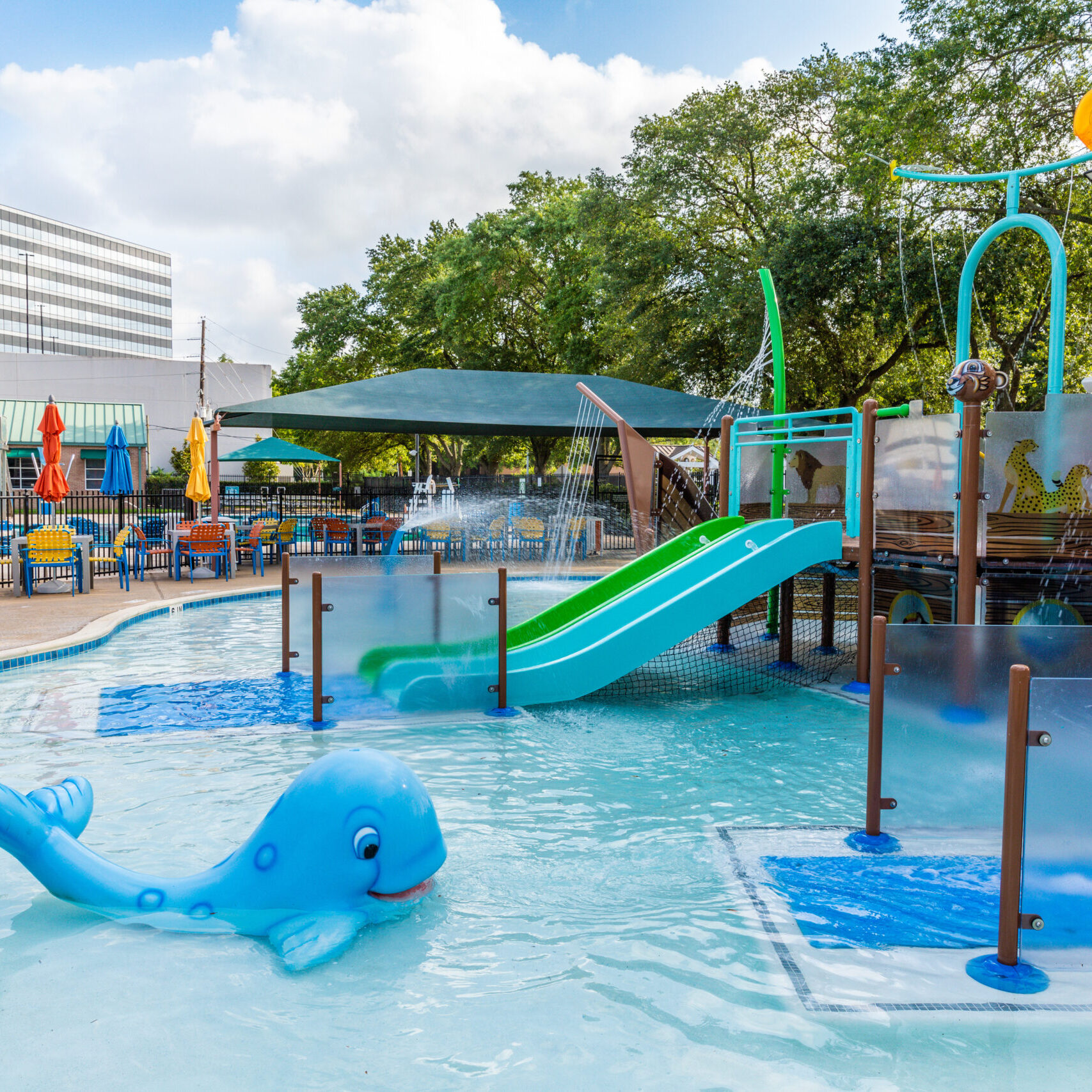 Quillian Center Noahs Ark Gallery 5