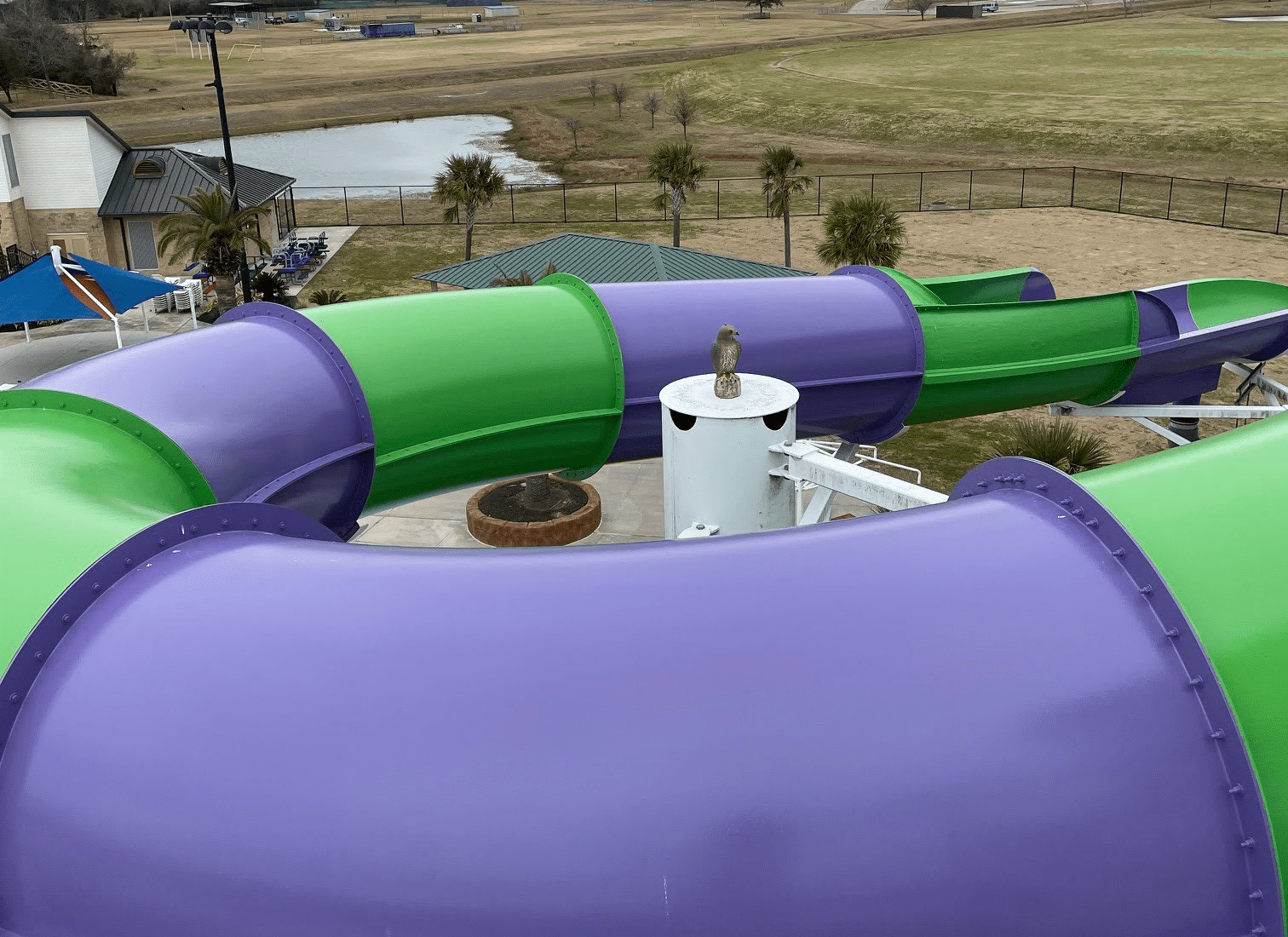 Restoration Purpletube B1