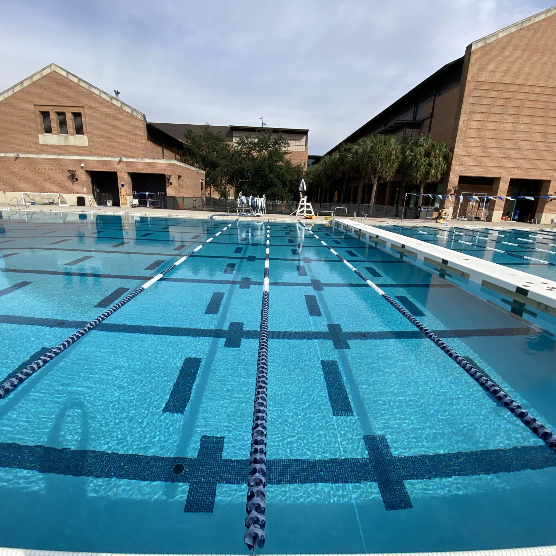 Rice University Competition Pool Gallery 6