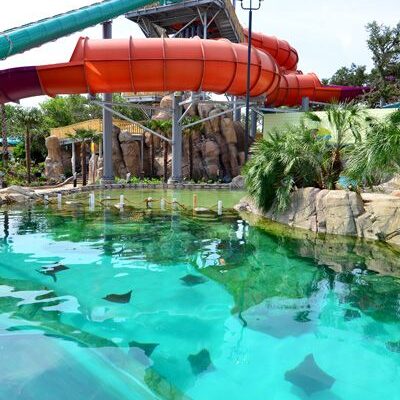 Seaworld Aquatica Gallery 2