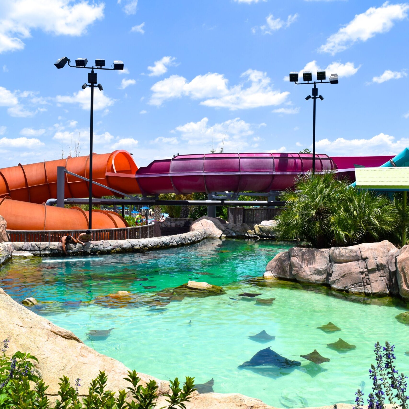 Seaworld Aquatica Gallery 4