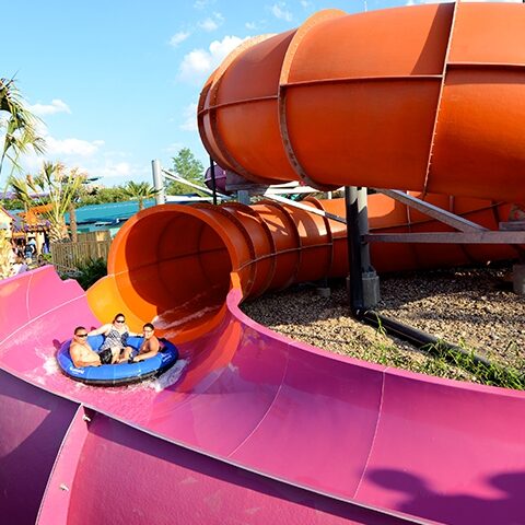 Seaworld Aquatica Gallery 7