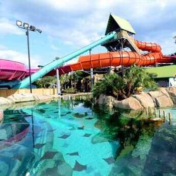 Seaworld Aquatica Gallery 9