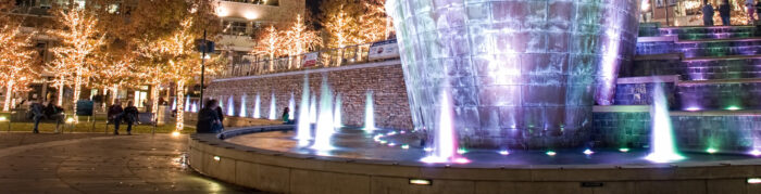 The Woodlands Waterway Banner 1