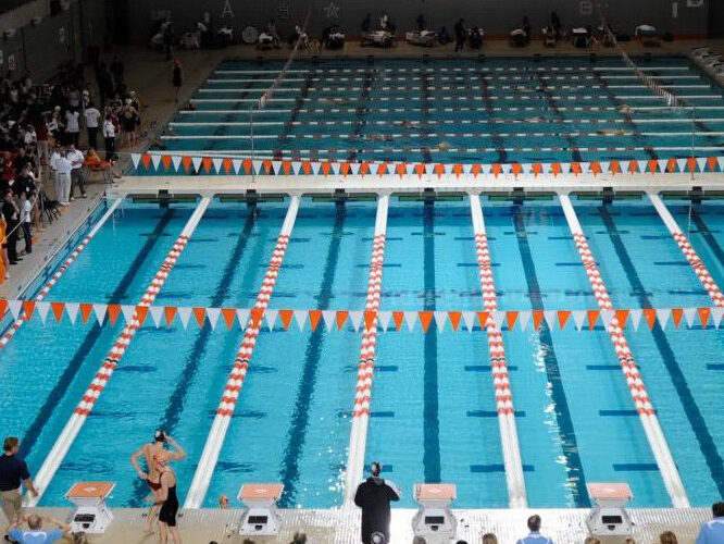 University Of Tennessee Banner 1