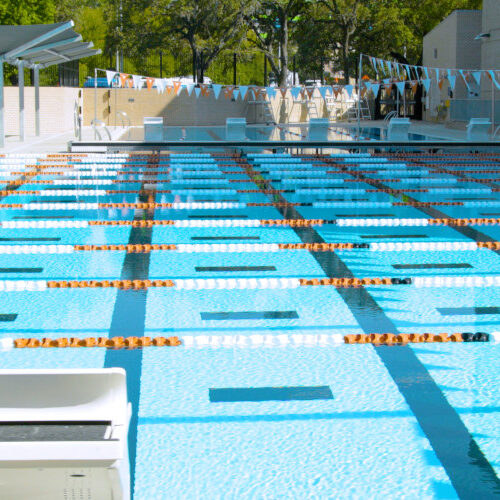 University Of Texas Banner 1