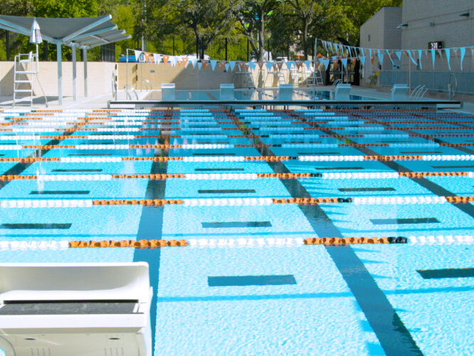 University Of Texas Banner 1