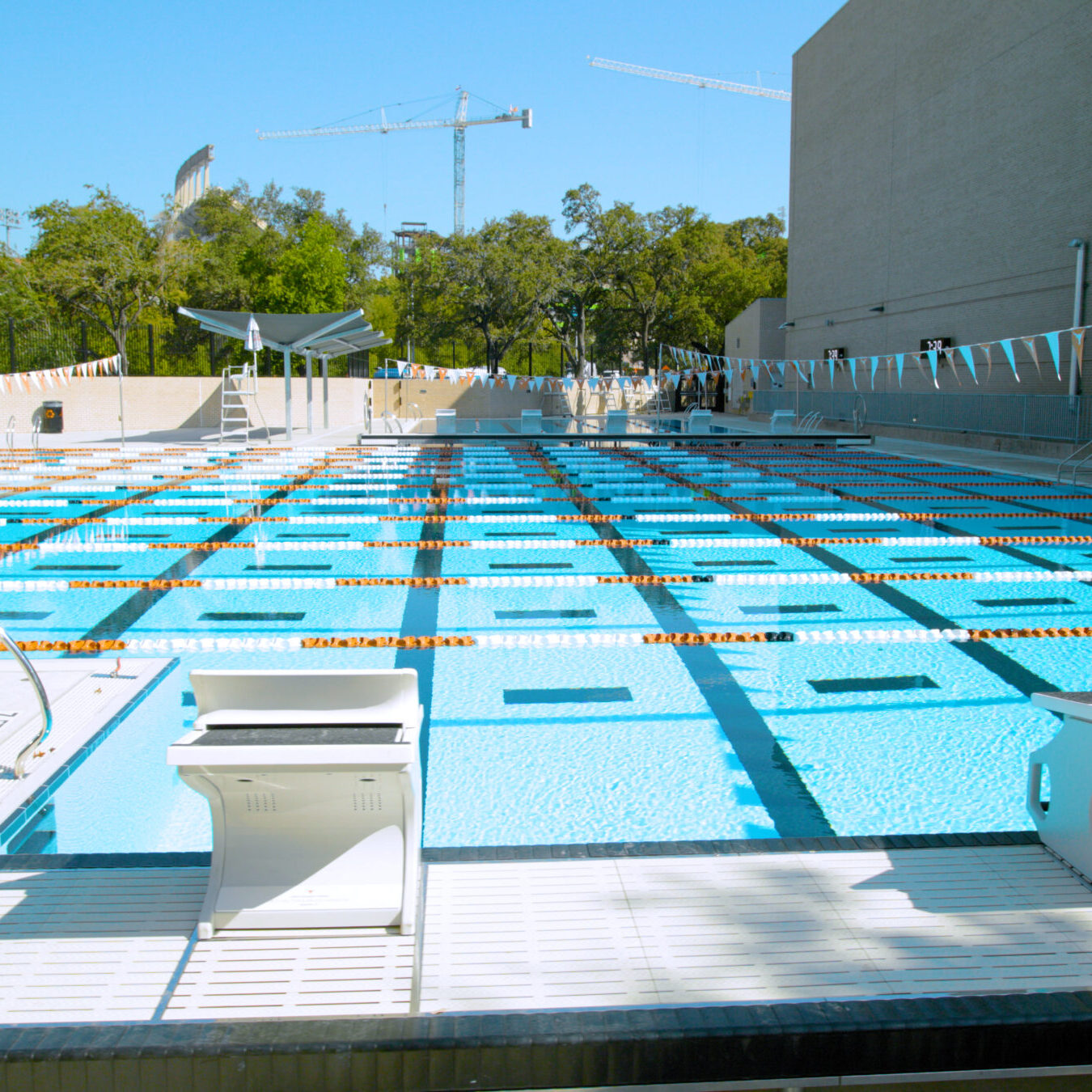 University Of Texas Gallery 1