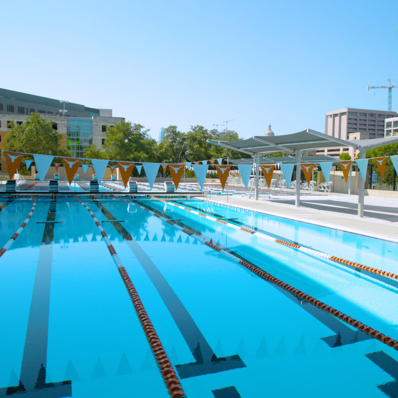 University Of Texas Gallery 5