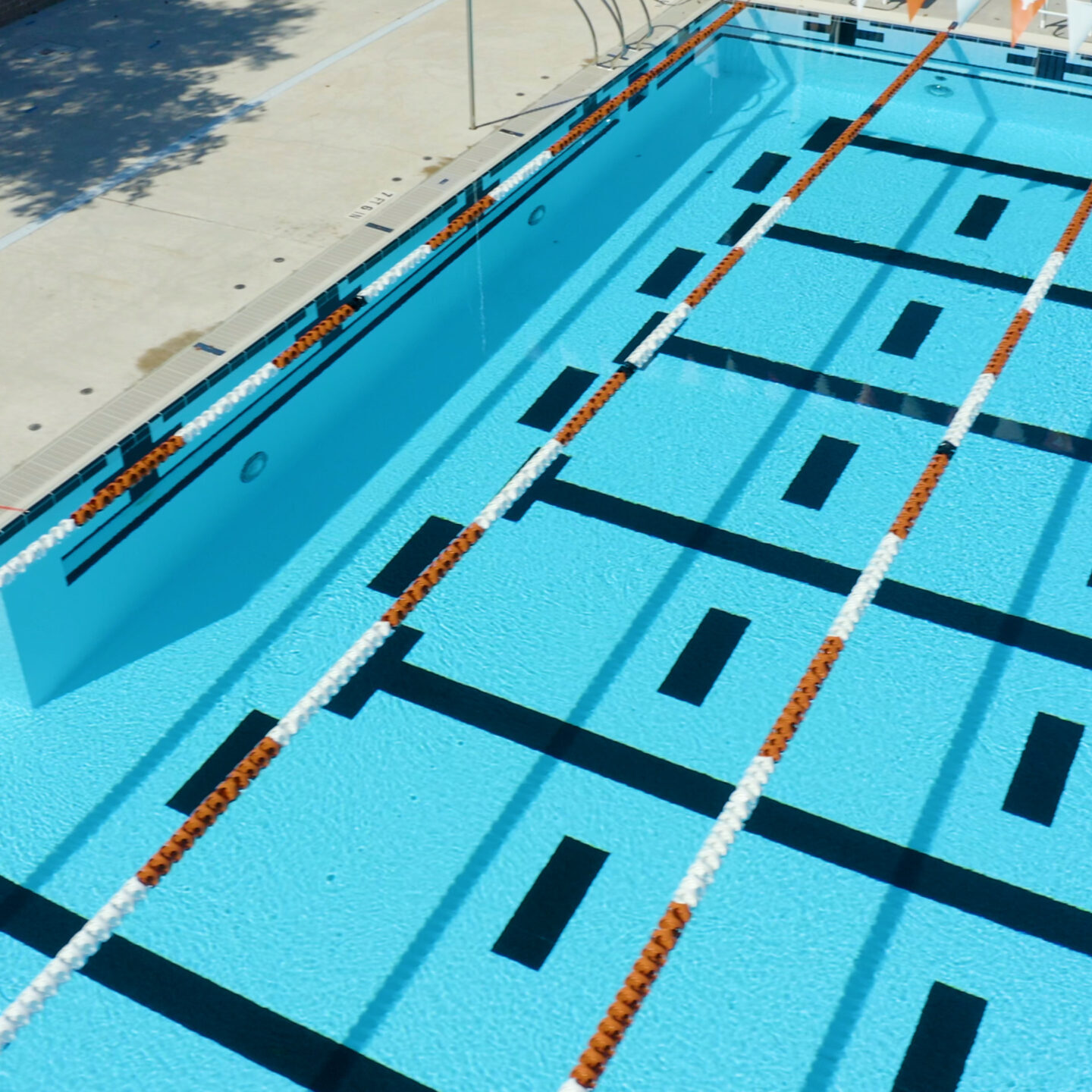 University Of Texas Gallery 9