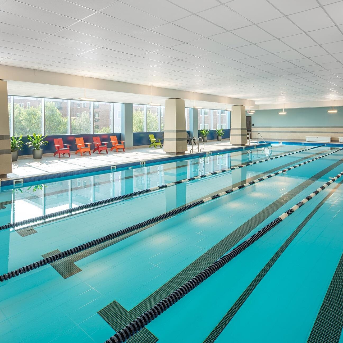 Wellbridge Gallery 2