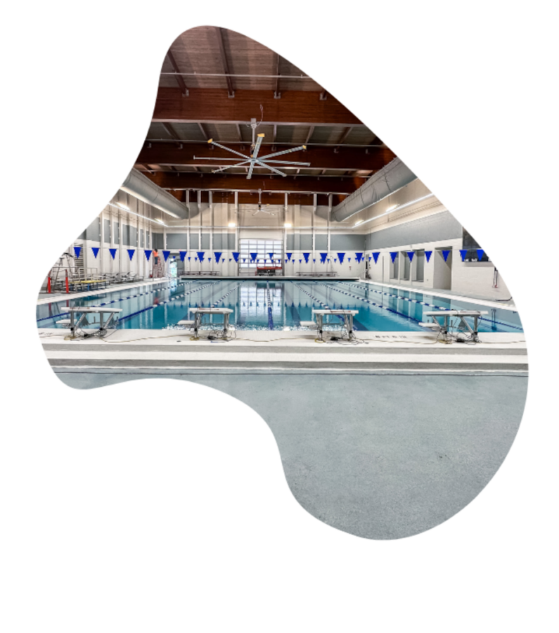 Banner Lp Renovate Layer1 6