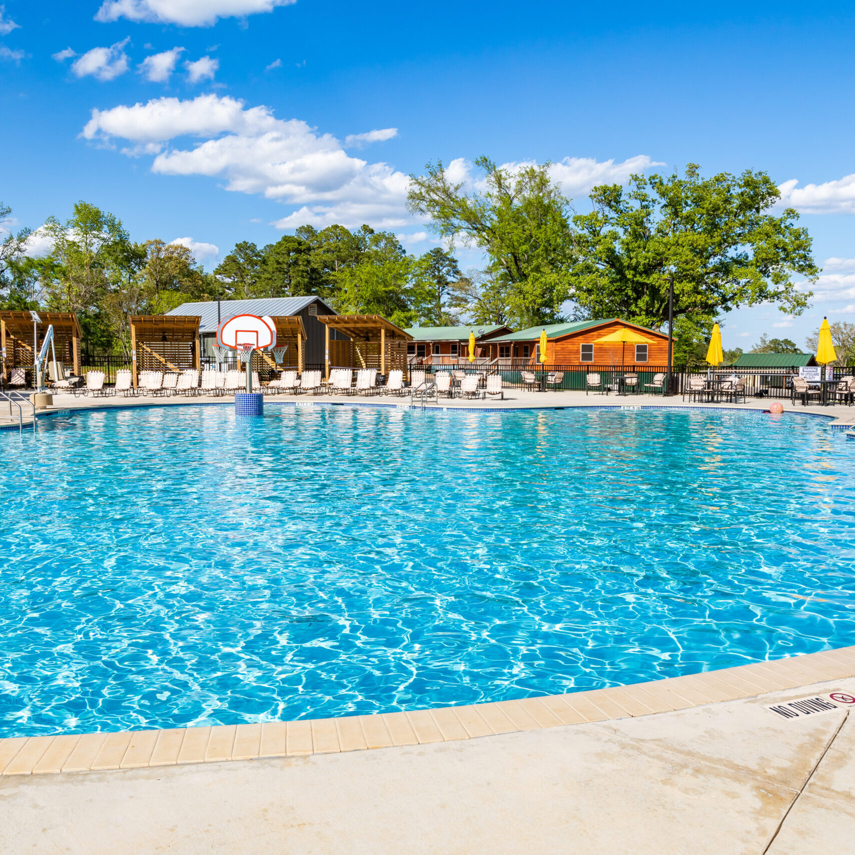 Jellystone Tyler 60 (1)