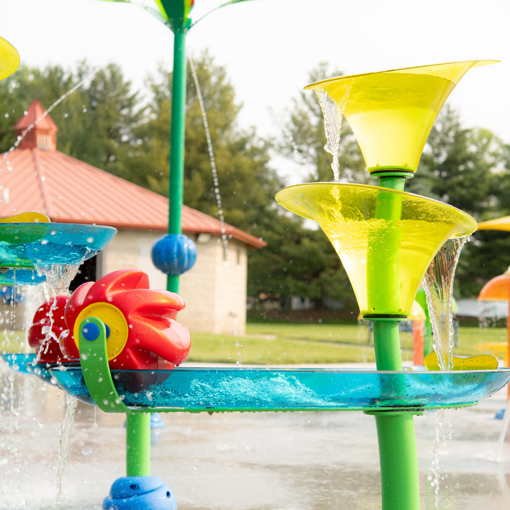 54562497191 079d16d863 O