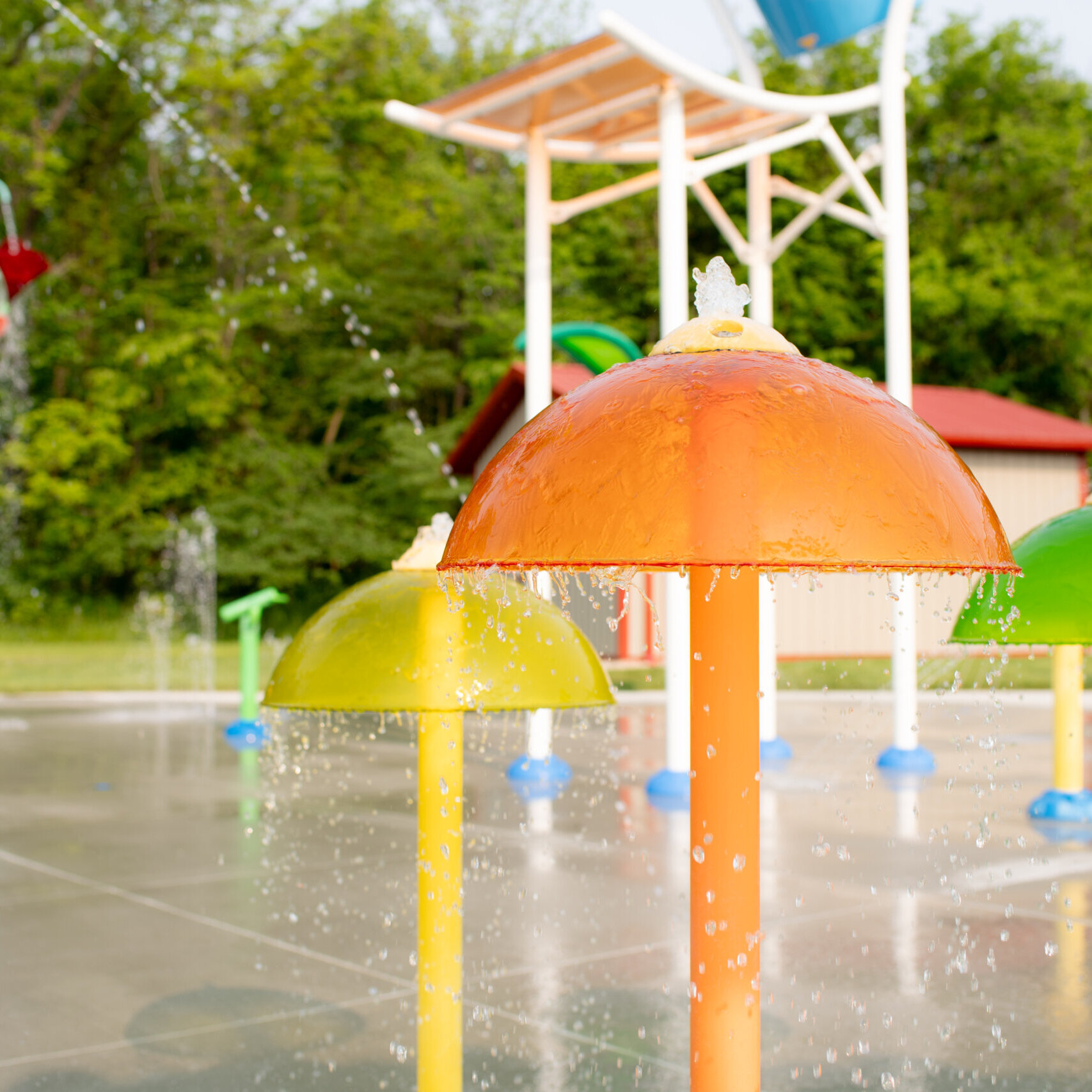 54562679169 090a8db57f O