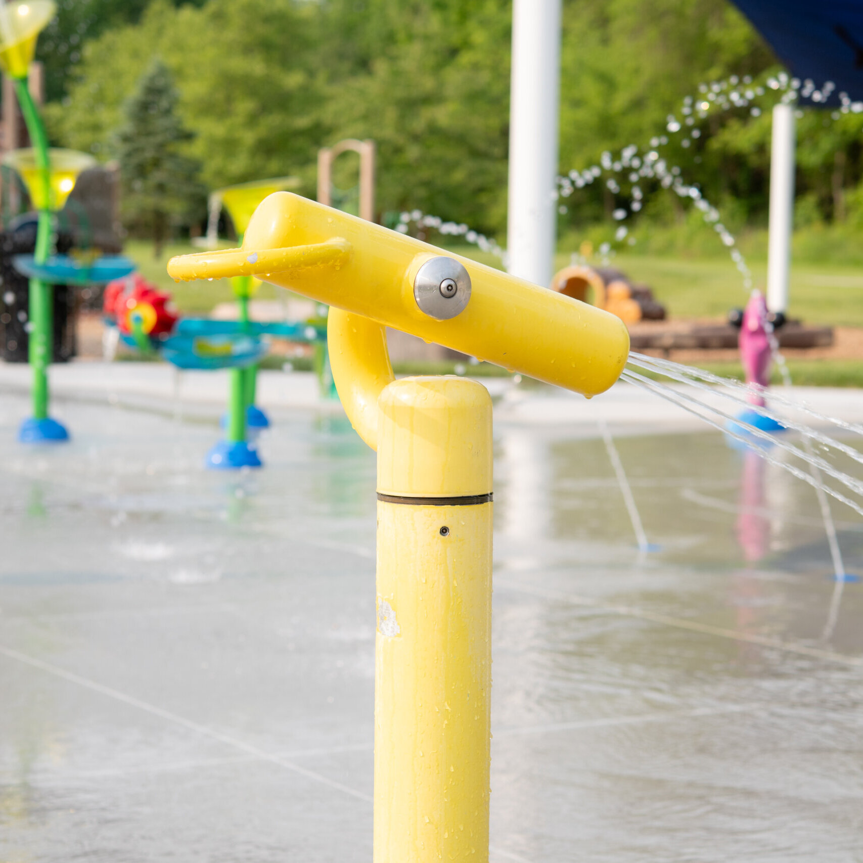 54562761924 93bd9f6ec6 O