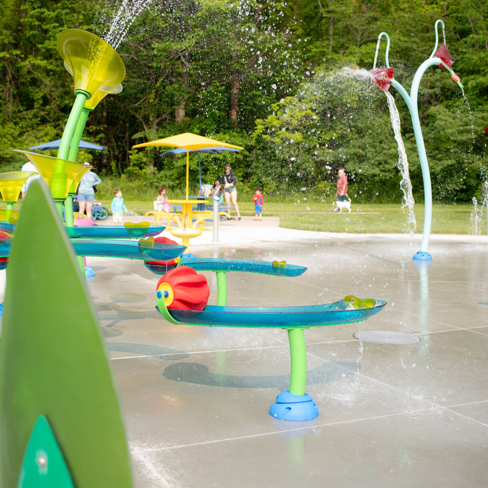 54562890254 81783d15ec O