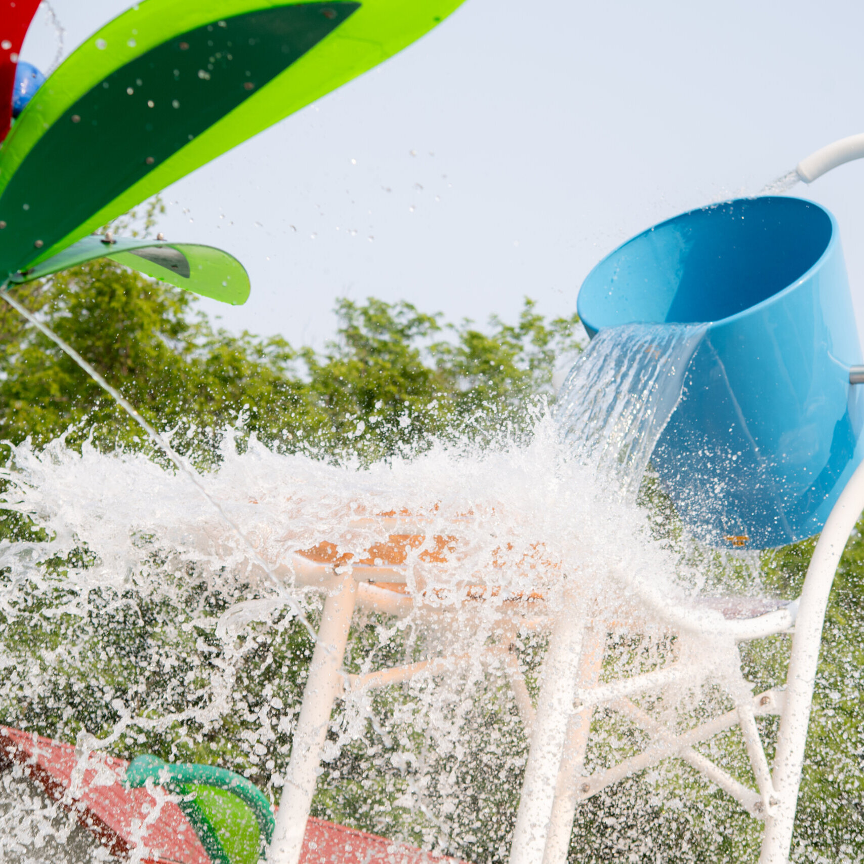 54562910115 0cbea4b671 O