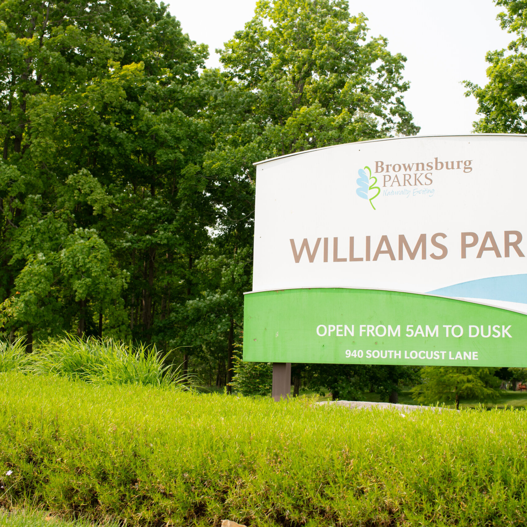 54562981713 03eb161cf1 O